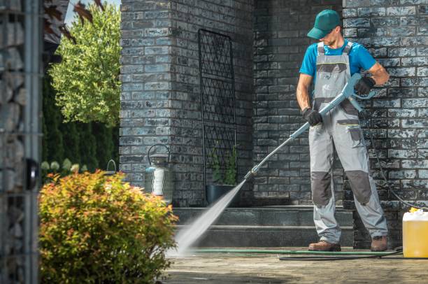 Best Soft Washing for Delicate Surfaces in Cohoes, NY